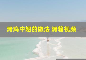 烤鸡中翅的做法 烤箱视频